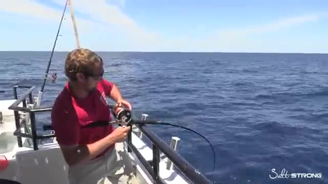 Offshore Fishing in Massive Amberjack & Grouper