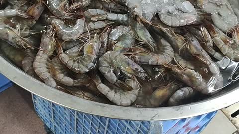 shrimp fish