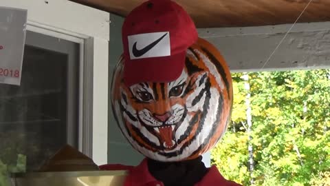 Tiger Woods