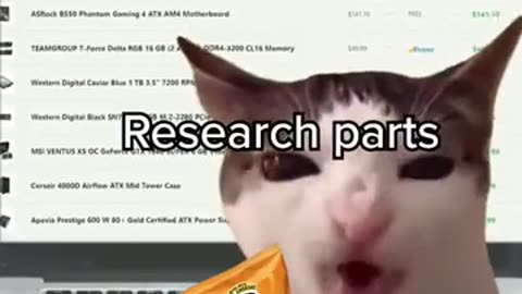 animal fun