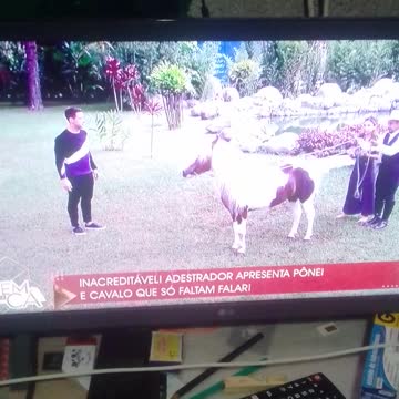 treinando cavalo pt4