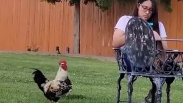 cock takes the girl by surprise