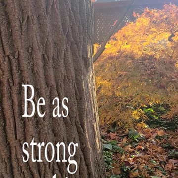 Be Strong and Graceful