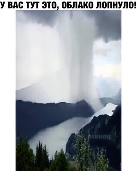 Nature surprises Природа удивляет