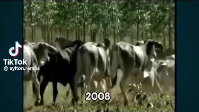Homens passam e seu legado fica.