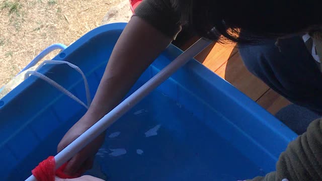 浸水 ササシグレ米作り