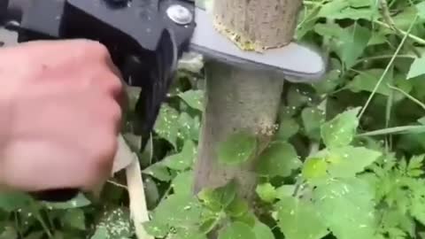Smart saw