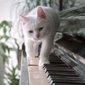 Funniest Jokes Make You Laugh