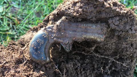 The Derringer Metal Detecting