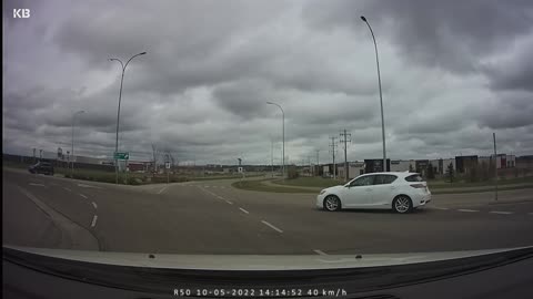 Red deer traffic circle jerk