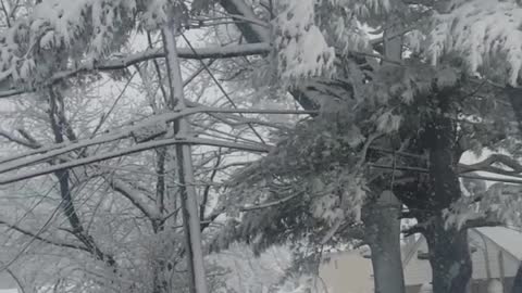 Second major storm in ny