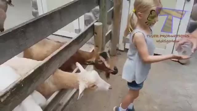 FORGET CATS! Funny KIDS vs ZOO ANIMALS are WAY FUNNIER! - TRY NOT TO LAUGH