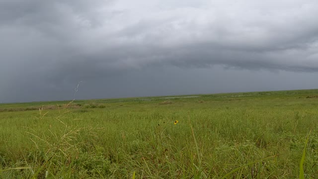 Storm Coming Into Texas