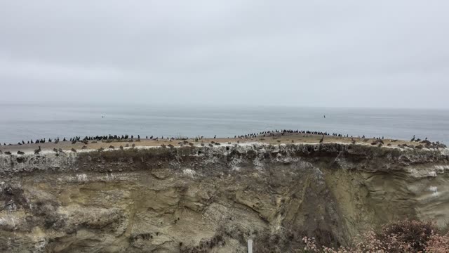 Shell Beach cliffs