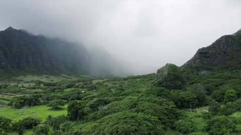 Nature