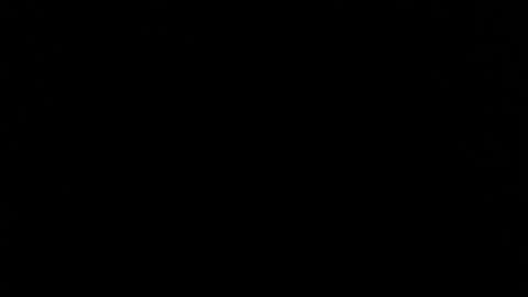 Alpine 0.02