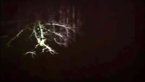 Weird figure moving in forest 😱😱