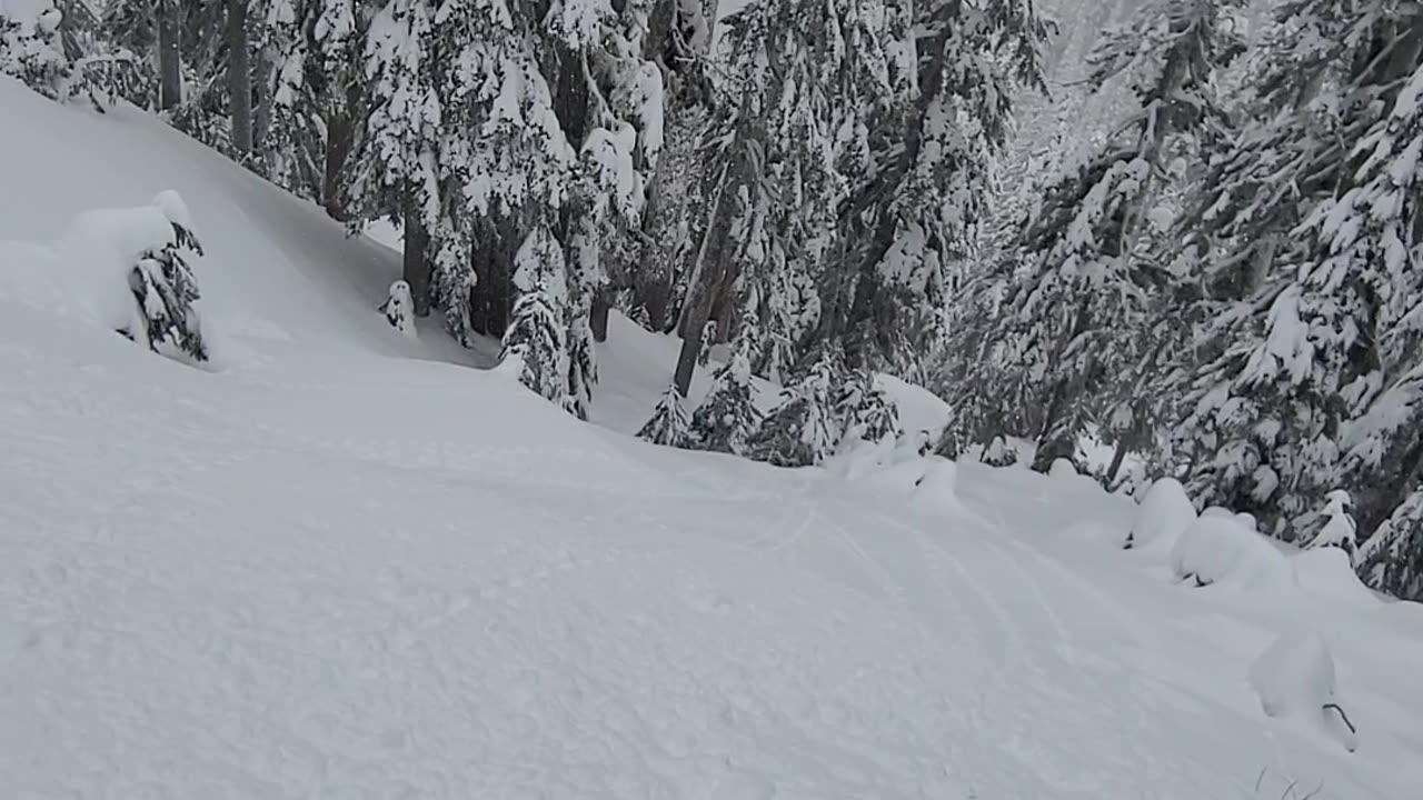 Lynx Shredder in deep pow.