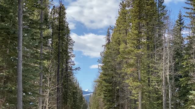 Amazing View