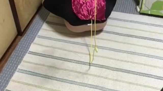 funny challenge video 😂😂😂 - Mr Uekusa Best TikTok 2021