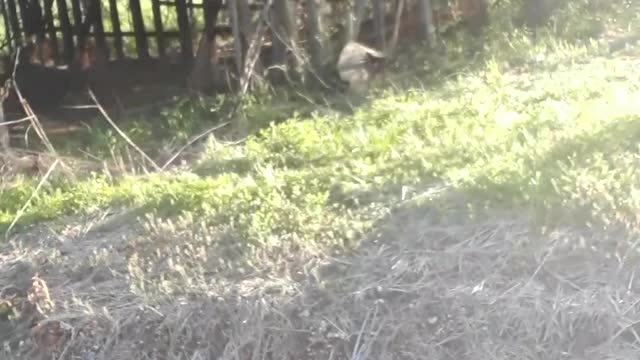 Sports are also being corrupted by the Communist Chinese leaders.