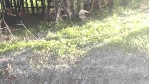 Sports are also being corrupted by the Communist Chinese leaders.