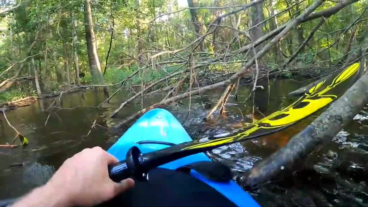 Homem em caiaque é surpreendido quando remava em zona pantanosa