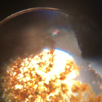 Water Without Hydrogen and Oxygen Under a Microscope