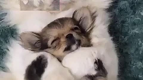 Hold to sleep