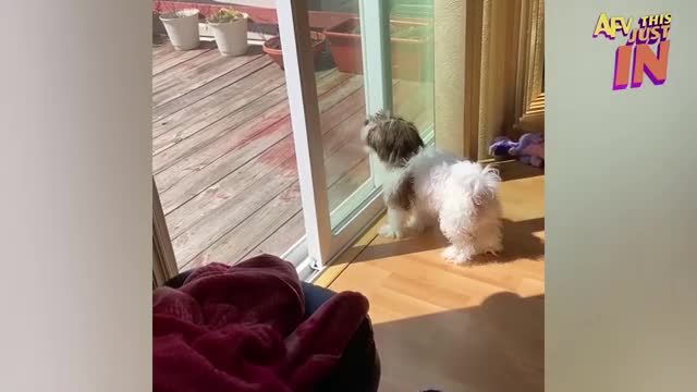 Try Not To Laugh Challenge! 😂 Funniest Fails of the Week | Live AFV