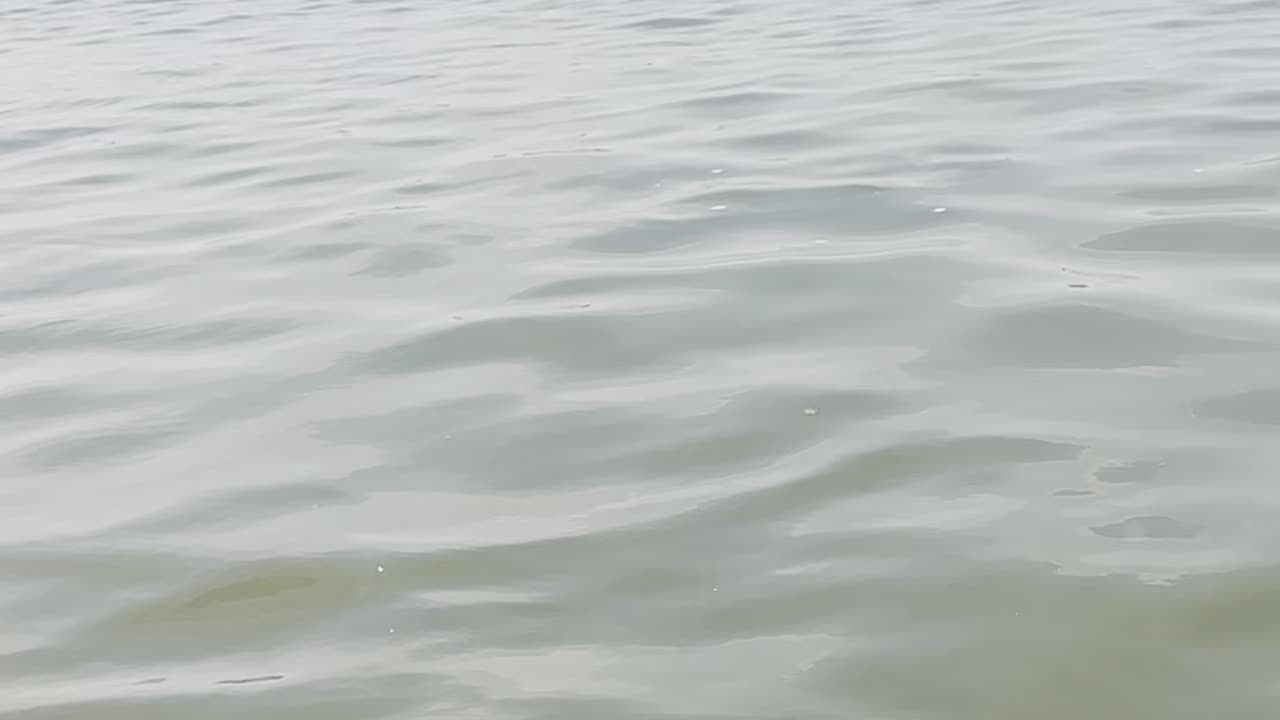 Ganga Maiya #holy river #india