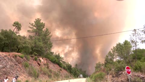 Wildfires rage as Portugal hit by heatwave