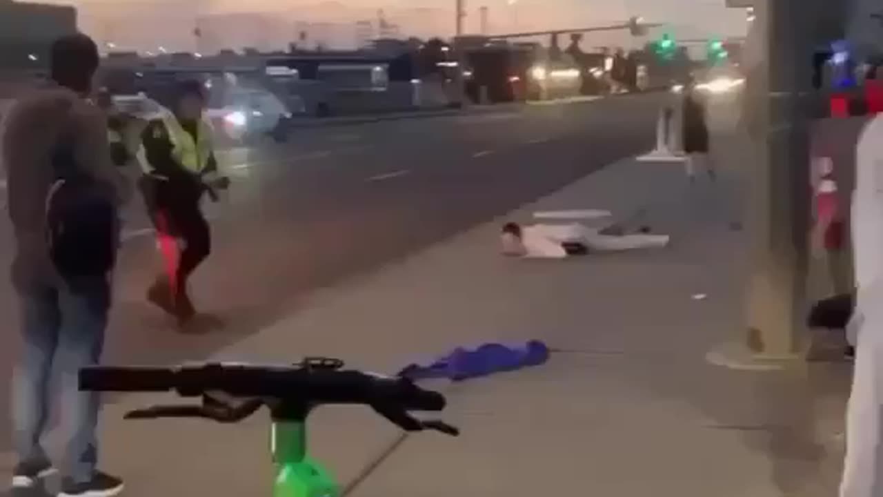 Edmonton police fatal take down
