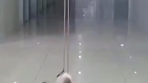 oh no cat stuck 🥶