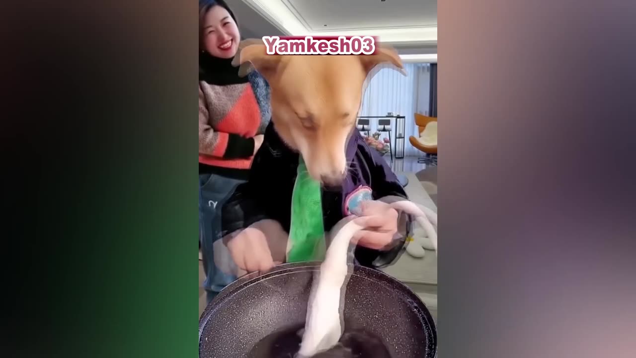 This Dog is so Funny ð ð ð ð ðĪŠ.....