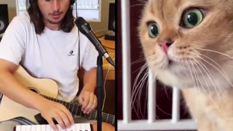 Watch to the end.. :-)