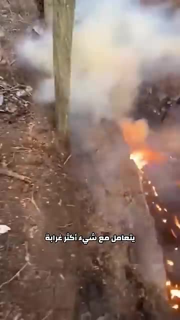 Piedra misteriosa /////suscríbete 👍🙏