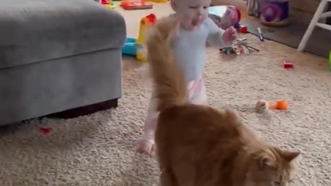 Adorable Fluffy Cat Helps Baby Take First Steps