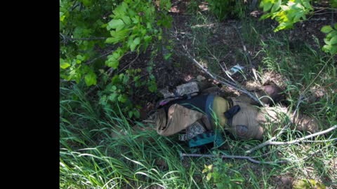 Dead Ukrainian Soldiers had no chance to complete their task - Strictly +18