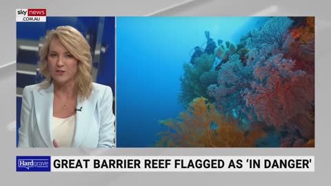 UN should be ‘focusing their attention’ on ‘Ukraine’ not Great Barrier Reef