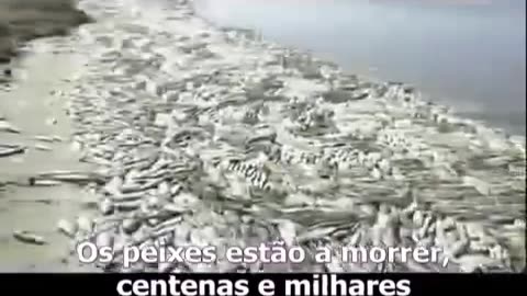☢☣️Ted Guterson, ex-AGENTE DO FBI, SOBRE CHEMTRAILS☢☣️