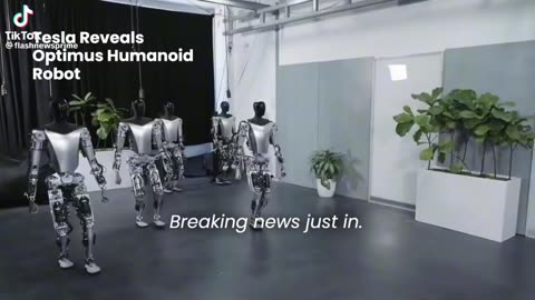 Elon Musk’s Optimus robots!