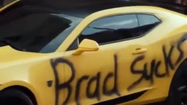 bumblebee 😱😎⚡