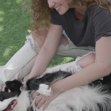 Meet the Gizmo bundle | so cute pet | animal love | pet lovers