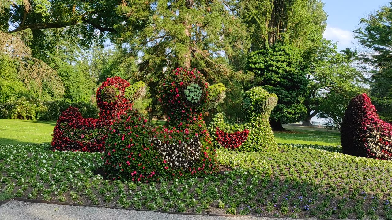 Die Blumeninsel im Bodensee