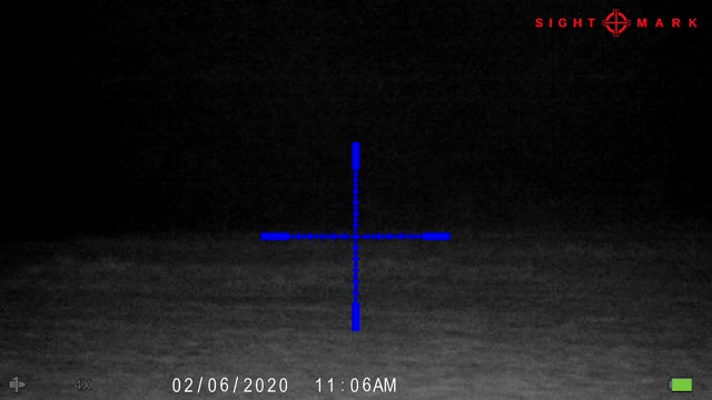 Coyote Hunting