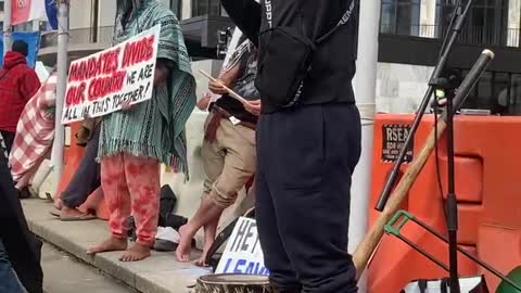 New Zealand Beehive protest.