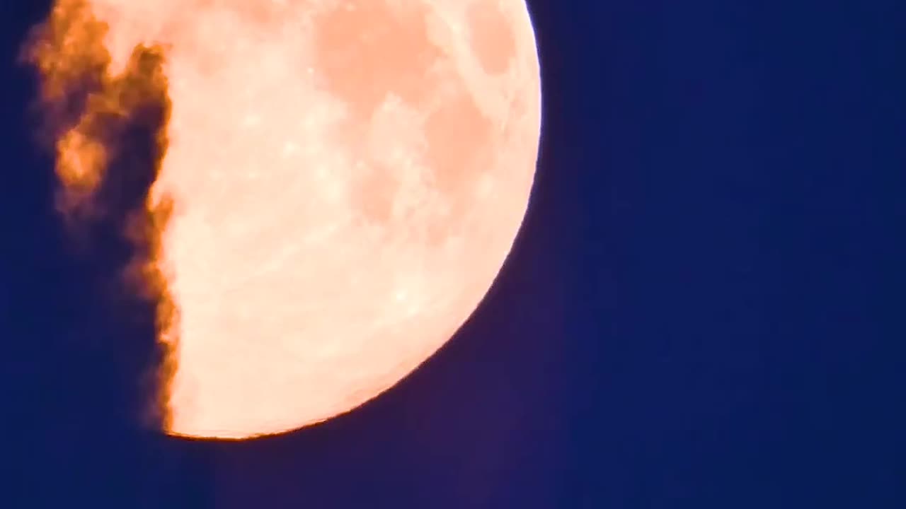Relaxing video for mind