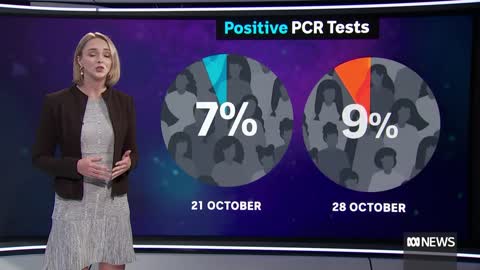 Australians warned of 'another COVID wave' as sub-variants take hold | ABC News