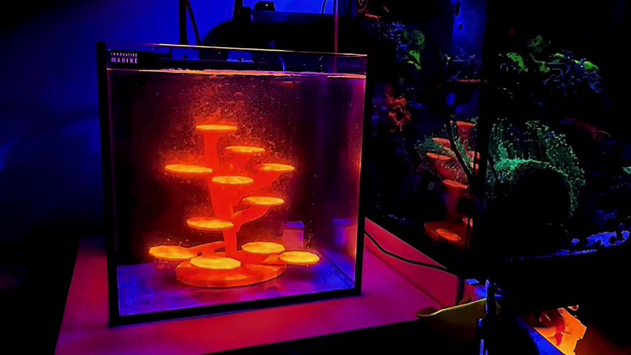 Custom-Drilled NUVO 15G AIO Reef Aquarium Integration + 3D Printed Coral Array